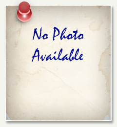 Portrait of Dr Dennis Senderovich